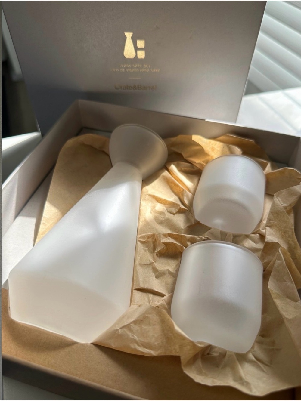 New Crate & Barrel Frosted Glass Set – Modern Japanese Drinkware